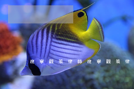 遼寧觀策律師(遼寧觀策律師)