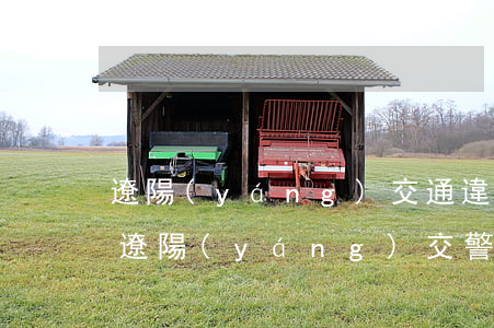 遼陽(yáng)交通違章查詢(xún)(遼陽(yáng)交警網(wǎng)違章查詢(xún)官方網(wǎng)站)