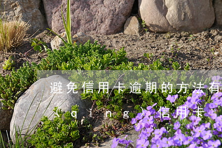 避免信用卡逾期的方法有哪些(逾期影響申請(qǐng)信用卡)
