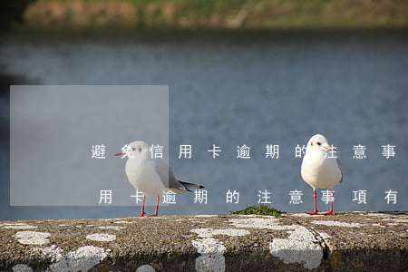 避免信用卡逾期的注意事項有哪些-避免信用卡逾期的注意事項有哪些呢