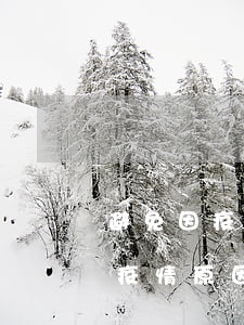 避免因疫情原因逾期的合同怎么写-避免因疫情原因逾期的合同怎么写啊