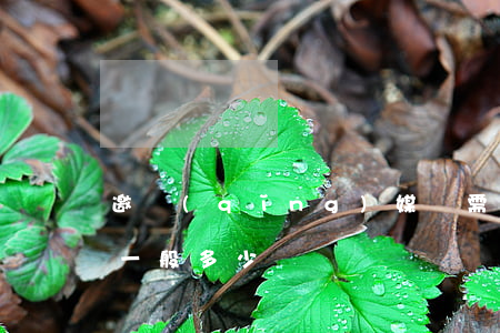 邀請(qǐng)媒體需要多少錢(媒體邀約一般多少錢)