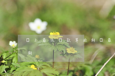 還上最低還款算逾期嗎(最低還款額算不算逾期)