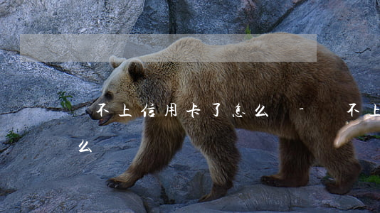 還不上信用卡了怎么辦-還不上信用卡了怎么辦?