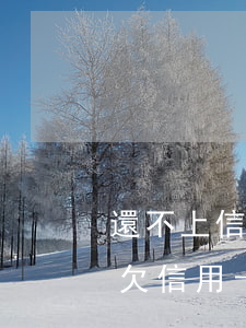 還不上信用卡最壞結(jié)果是什么-欠信用卡錢還不上最壞的結(jié)果是什么