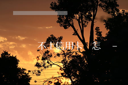 還不上信用卡會怎樣-還不上信用卡會怎樣