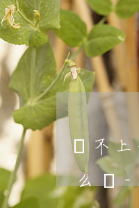 還不上信用卡的人現(xiàn)在過得怎么樣-還不上信用卡的人現(xiàn)在過得怎么樣了