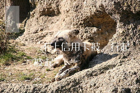 還不上信用卡被銀行起訴（信用卡逾期沒還上被起訴）