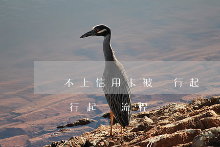 還不上信用卡被銀行起訴（信用卡逾期還不上銀行起訴流程）