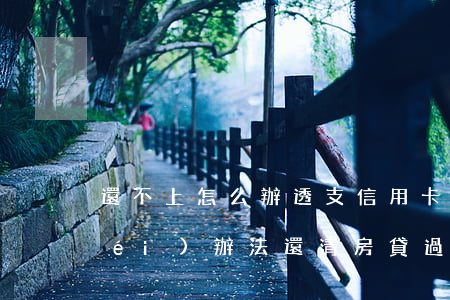 還不上怎么辦透支信用卡(信用卡透支沒(méi)辦法還清,房貸過(guò)不了怎么辦)