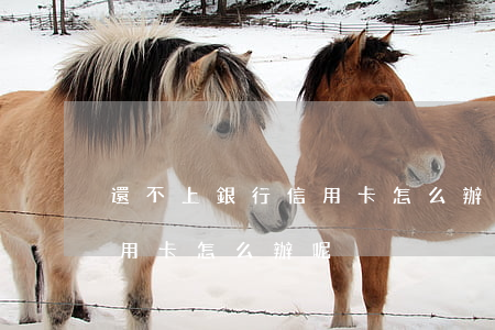 還不上銀行信用卡怎么辦呢-還不上銀行信用卡怎么辦呢