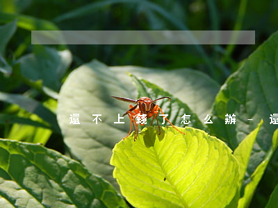 還不上錢了怎么辦-還不上錢的時候怎么辦