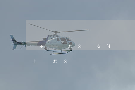 還不上錢怎么辦(支付寶暫時(shí)還不上錢怎么辦)