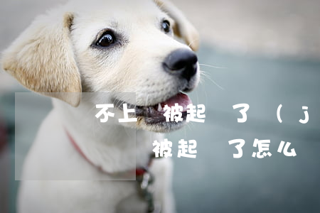 還不上錢被起訴了進(jìn)去幾天一年(沒錢還被起訴了怎么辦)