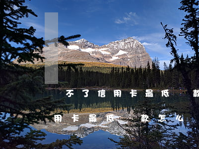 還不了信用卡最低還款怎么辦理-還不了信用卡最低還款怎么辦理手續(xù)