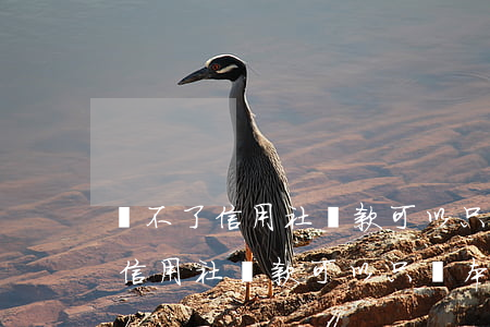 還不了信用社貸款可以只還本金嗎-還不了信用社貸款可以只還本金嗎