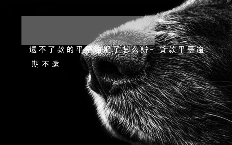 還不了款的平臺逾期了怎么辦-貸款平臺逾期不還