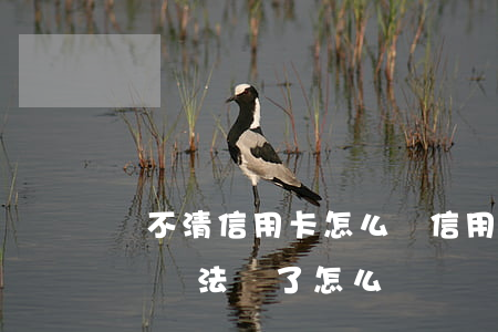 還不清信用卡怎么辦(信用卡實(shí)在沒辦法還了怎么辦)