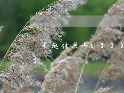 還不起信用卡6000（還不起信用卡6000）