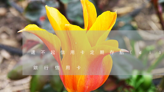 還不起信用卡定期存點(diǎn)(還不起銀行信用卡)