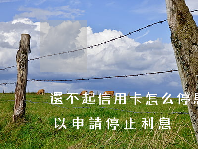還不起信用卡怎么停息(信用卡還不上是否可以申請停止利息)