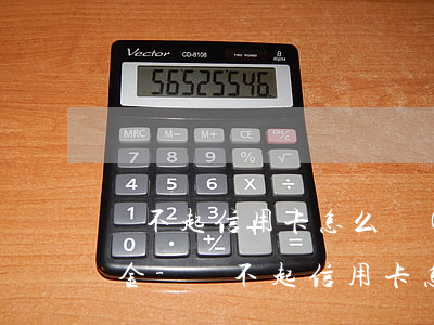 還不起信用卡怎么協(xié)商分期還本金-還不起信用卡怎么協(xié)商分期還本金呢