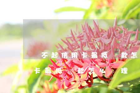 還不起信用卡最低還款怎么辦-還不起信用卡最低還款怎么辦理
