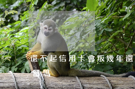 還不起信用卡會叛幾年(還不起信用卡會被拘留嗎)