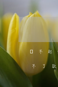 還不起信用卡有什么后果-為什么信用卡還不了款