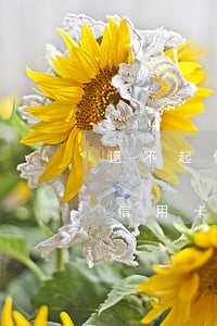 還不起信用卡網(wǎng)民籌款 還不起信用卡網(wǎng)民籌款會怎么樣
