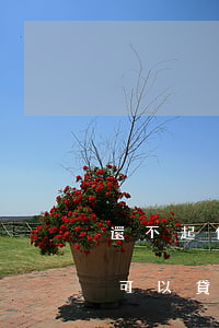 還不起信用卡花唄了(花唄和信用卡沒有還清可以貸款嗎)