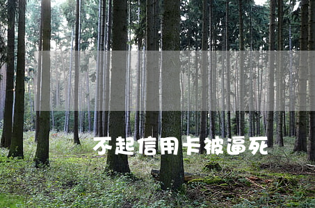 還不起信用卡被逼死