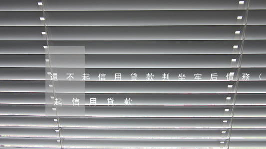 還不起信用貸款判坐牢后債務(wù)（還不起信用貸款）