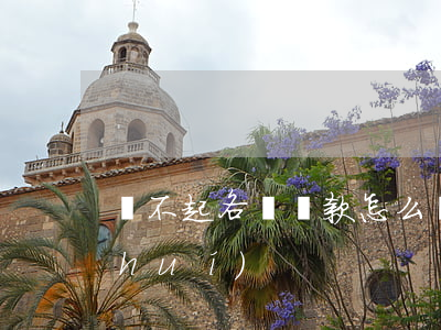 還不起各種貸款怎么辦（還不起貸款怪誰(shuí)）