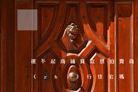 還不起商鋪貸款想拍賣(商鋪貸款還不起會執(zhí)行住宅嗎)