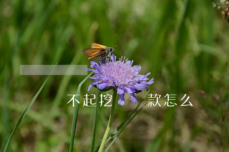 還不起挖機貸款怎么辦(還不起挖機貸款怎么辦)