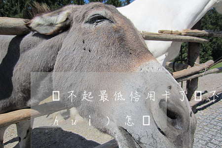 還不起最低信用卡了(還不上最低還款額會(huì)怎樣)