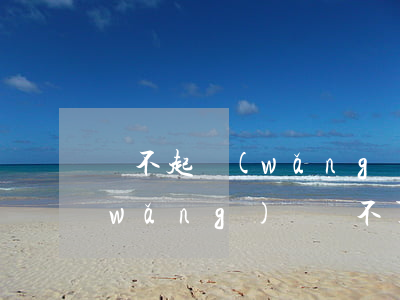 還不起網(wǎng)貸被起訴了咋辦（網(wǎng)貸還不了被起訴了）