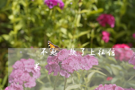 還不起貸款了上征信嗎 還不起貸款有什么后果