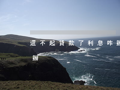 還不起貸款了利息咋辦(貸款利息還不起怎么辦)