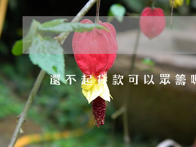 還不起貸款可以眾籌嗎(欠債能眾籌嗎)