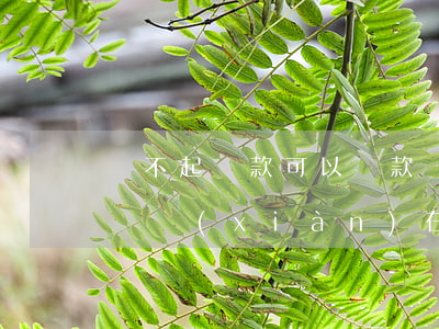 還不起貸款可以籌款嗎(還不起貸款可以籌款嗎現(xiàn)在)
