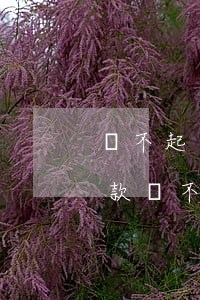 還不起貸款可以轉(zhuǎn)讓嘛-貸款還不了能轉(zhuǎn)到明年還嗎