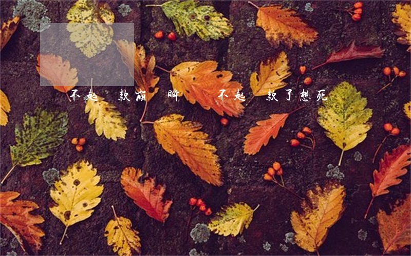 還不起貸款崩潰瞬間(還不起貸款了想死)