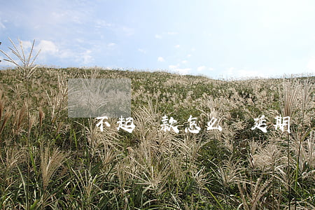 還不起貸款怎么辦延期 貸款逾期還不起怎么說