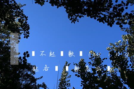 還不起貸款應(yīng)該分期嗎-還不起各種貸款怎么辦