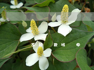 還不起貸款找誰申訴(貸款還不上起訴流程)