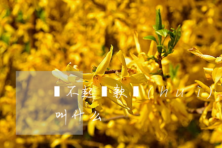 還不起貸款會(huì)怎么樣 還不起貸款叫什么