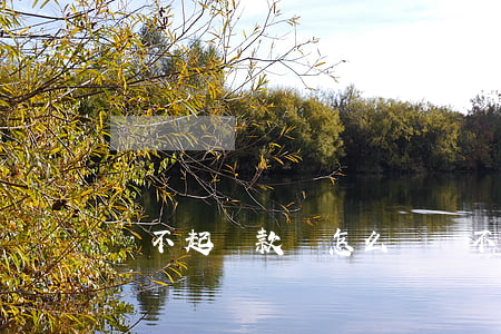 還不起貸款會怎么樣 還不起貸款叫什么