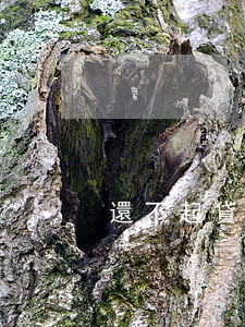 還不起貸款會死刑嗎(還不起貸款會坐牢嗎)